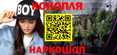 альфа пвп Заводоуковск