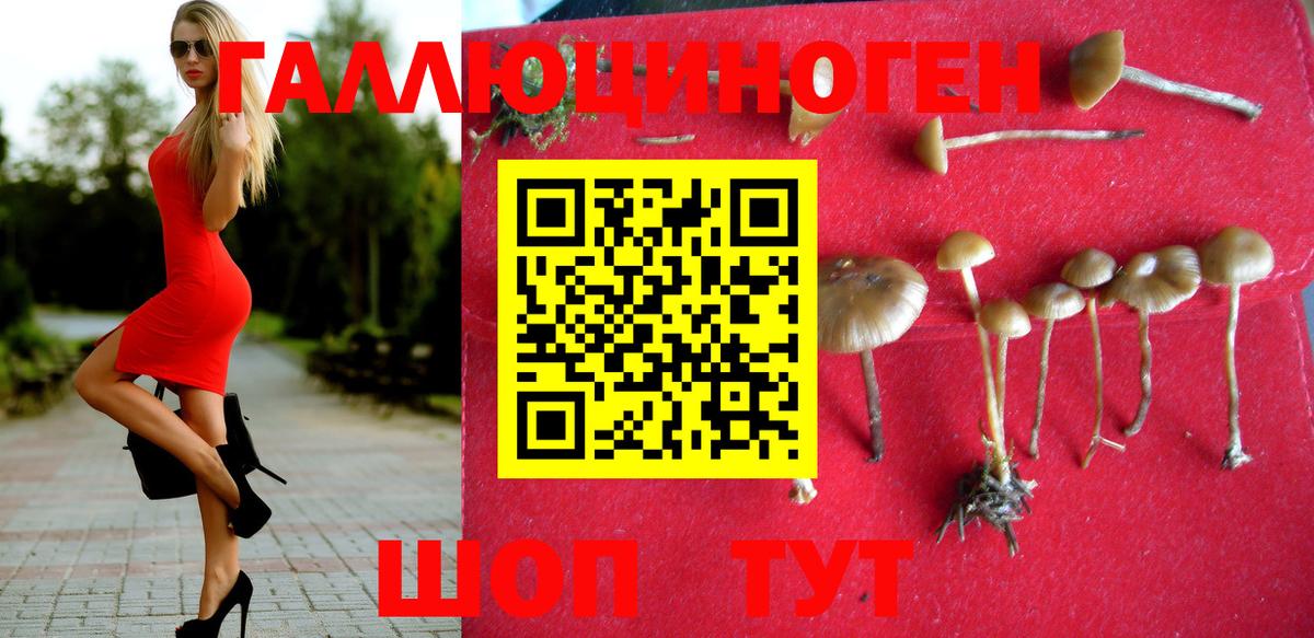 Галлюциногенные грибы мухоморы  Псилоцибиновые грибы Cubensis  Вход с VPN  Мичуринск 