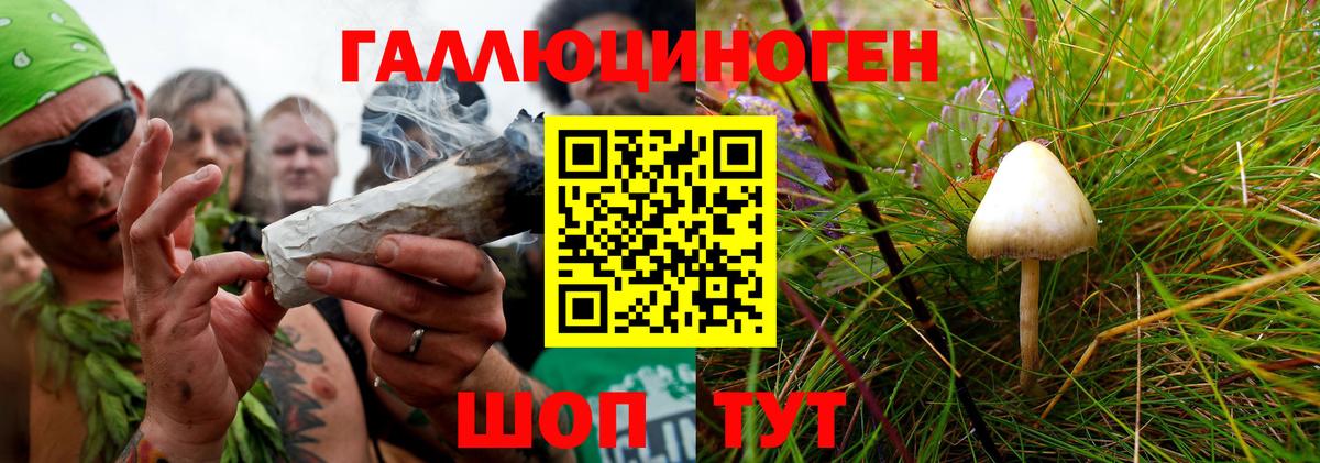 Псилоцибиновые грибы GOLDEN TEACHER Мичуринск